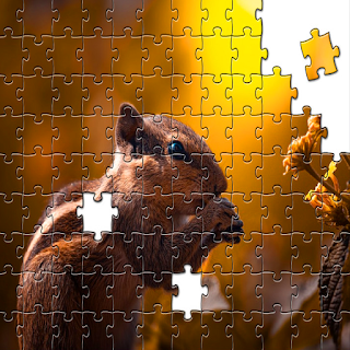 Squirrels Jigsaw Puzzles apk
