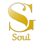 Cover Image of Download Soul  APK