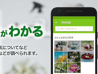 √100以上 生えている場所��わかる植物の名前図鑑 242233-生えている場所でわかる植物の名前図鑑