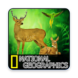 National Geographic:National Grid Documentaries 18 icon