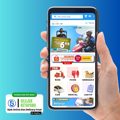 Vista previa de la aplicación