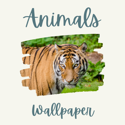 Android application Animals screenshort