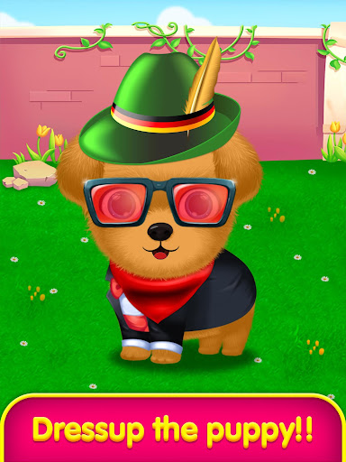 My puppy daycare salon