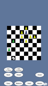 Chess Horse Puzzle