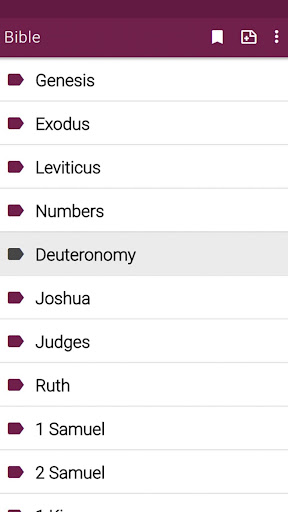 Pulpit commentary Bible Screen 2