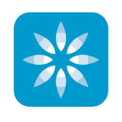 Icon image