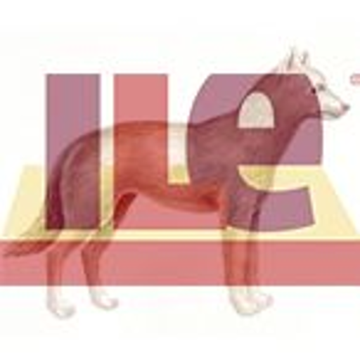 Hundeschulen ILe Europa logo