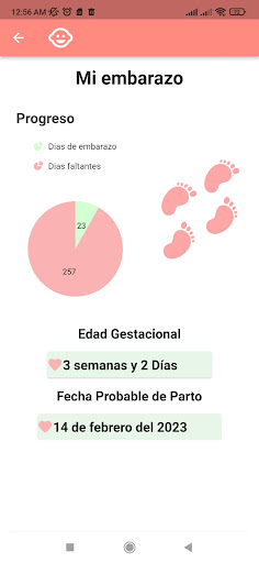 Mi Embarazo: edad gestacional Screen 3