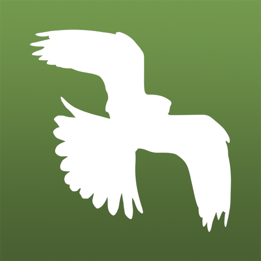 Bird Guide: Aves Europe 2024.1.0 Icon