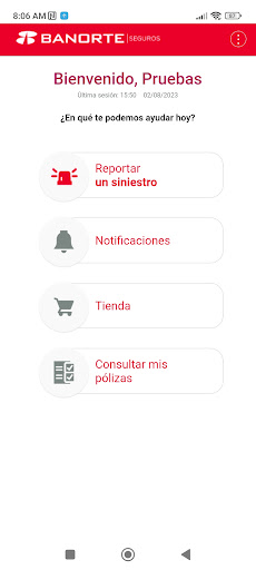 SEGUROS BANORTE Screen 2