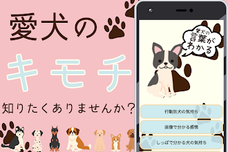 犬の言葉がわかるアプリ ワンちゃんのお世話 いぬの気持ち Google Play のアプリ