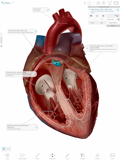 Human Anatomy Atlas 2021 Mod Apk 2021.2.27 (Paid) poster-10