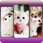 Cover Image of Télécharger Cute Cats Wallpaper  APK