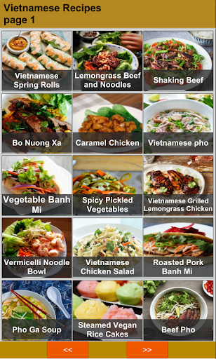 Android application Vietnamese Recipes Offline screenshort