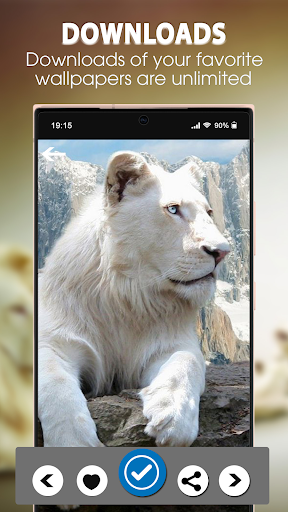 White Lion Wallpapers