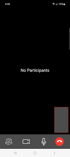 CWH Video Consultation Screen 2