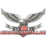 Cover Image of Скачать Anatolian Eagles 3D 1.1 APK