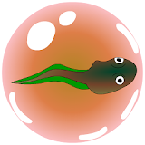 Frogspawn bubble shooter icon