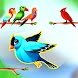 Bird color sort - Match puzzle - Androidアプリ