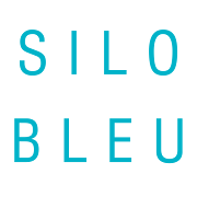 Silo Bleu  Icon