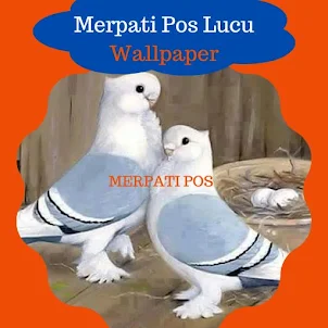 Merpati Pos Wallpaper