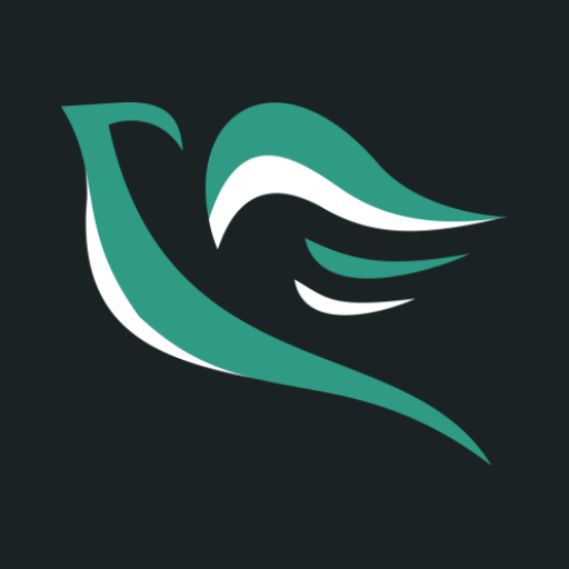 Divine Consolation logo