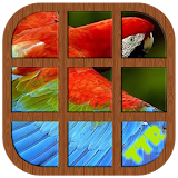 Parrot Sliding Puzzle icon