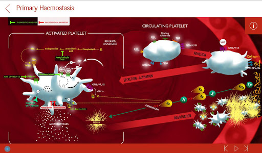 iHemostasis Screen 3