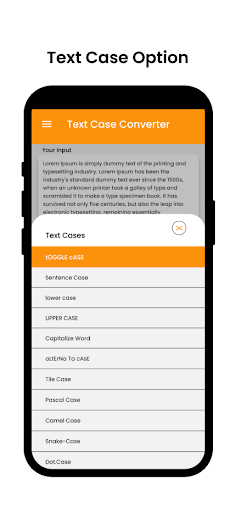 Text Case Converter Screen 3
