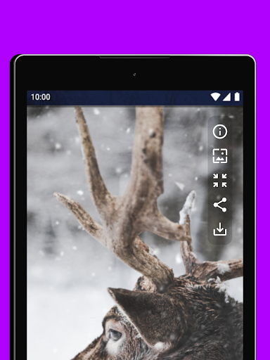 HD Wallpapers  4K Backgrounds