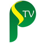Cover Image of Download TV Pringsewu Channel  APK