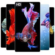 Top 50 Personalization Apps Like Betta Fish Wallpapers HD 4K Betta Fish Wallpapers - Best Alternatives