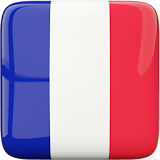 French Grammar icon