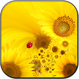Sunflower lwp icon
