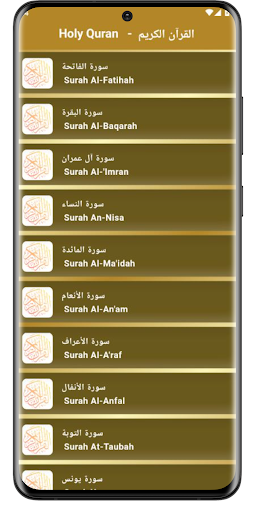 Yasser Al Dosari - Quran MP3 Screen 2