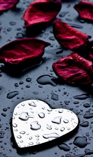 Android application Heart Wallpapers screenshort