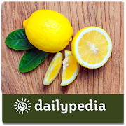 Lime & Lemon Daily