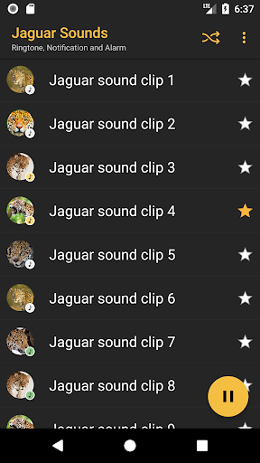 Jaguar Sounds Screen 3