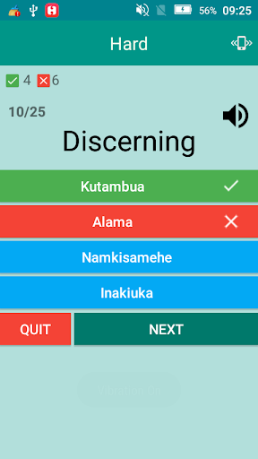 English To Swahili Dictionary Screen 3