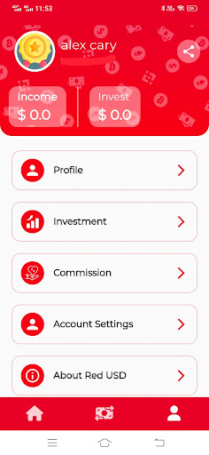 Red Usd Screen 2