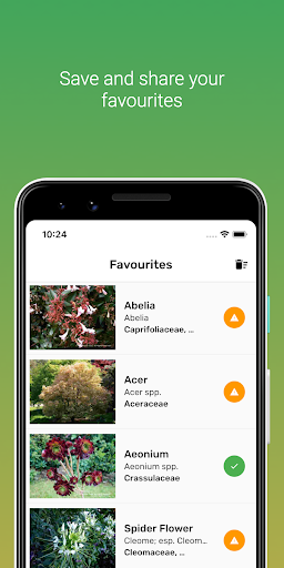 TTT Plant Database Screen 3