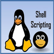 Shell Scripting Interview Questions