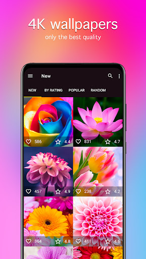 Screenshot of Flower Wallpapers 4K