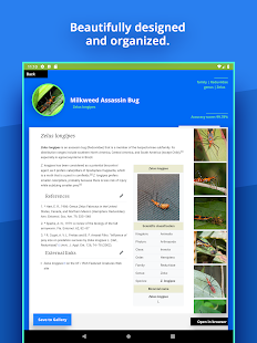 Insect Identifier Bildschirmfoto