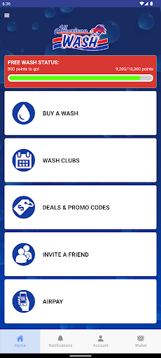 All American Wash Screen 2