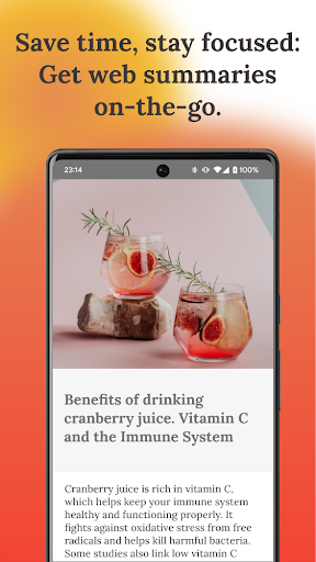 AI Web Summarizer Screen 2