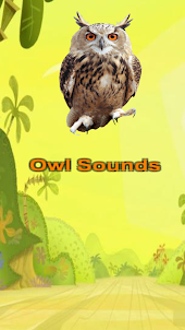 Owl Sounds Jungle Game 3d