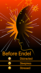 Endel 1