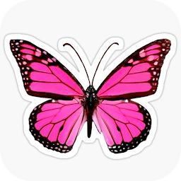 Icon image Butterfly Images