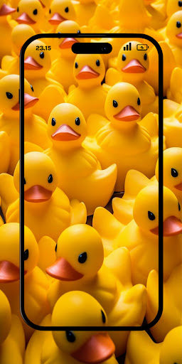 Duck Wallpapers Rare HD - 4K Screenshot 4 - AppWisp.com